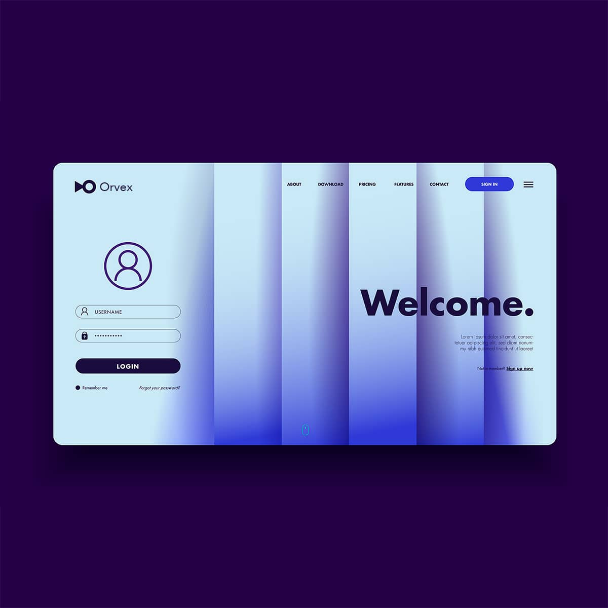 Custom web development project
